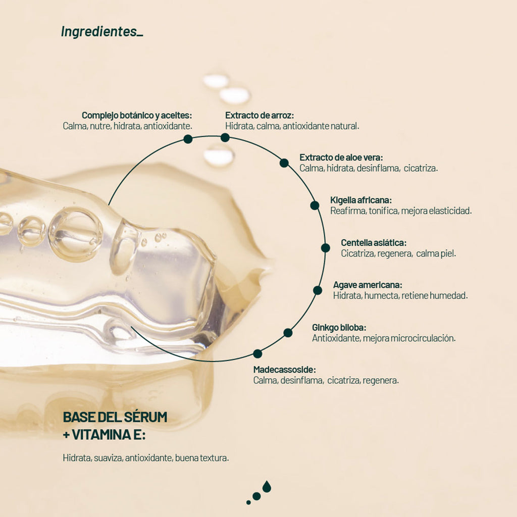 Ingredientes del sérum Riz Calm de Aetheria: extractos suaves y calmantes para piel sensible con acción restauradora