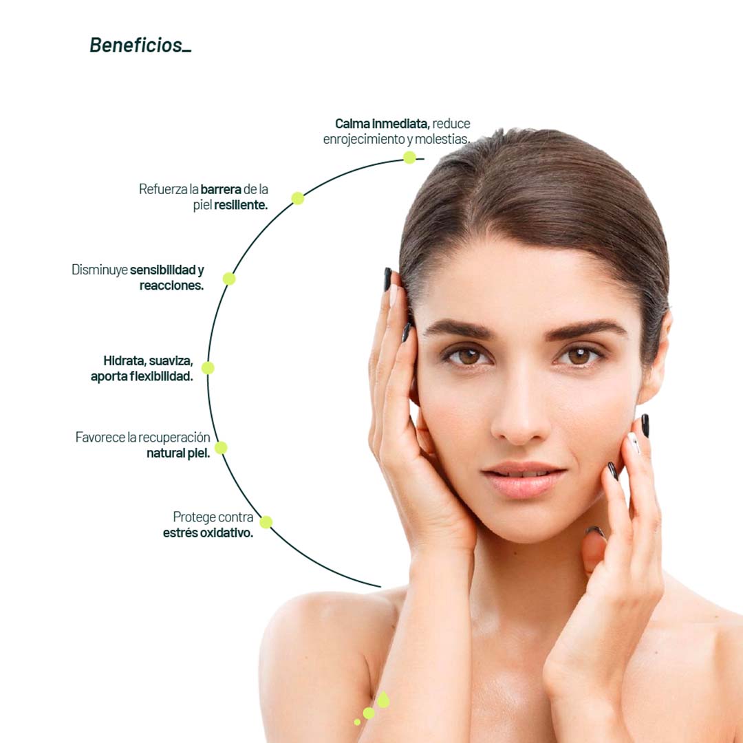 Extractos calmantes y textura ligera del sérum Riz Calm de Aetheria, ideal para suavizar irritación y restaurar la barrera cutánea